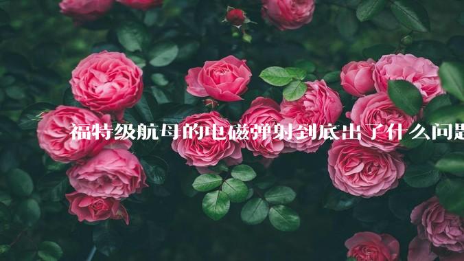 福特级航母的电磁弹射到底出了什么问题?