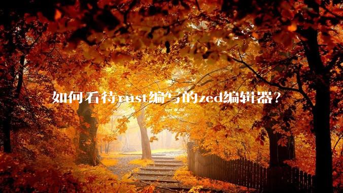 如何看待rust编写的zed编辑器?