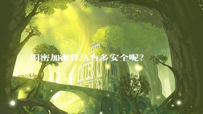 国密加密算法有多安全呢?