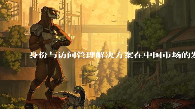 身份与访问管理解决方案在中国市场的发展前景?