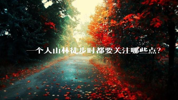 一个人山林徒步时都要关注哪些点?