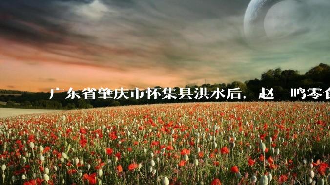 广东省肇庆市怀集县洪水后,赵一鸣零食店被哄抢,物资和收银机里面的几千块钱被哄抢一空,如何评价?