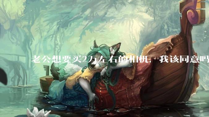 老公想要买2万左右的相机,我该同意吗?