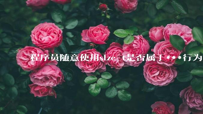 程序员随意使用size_t是否属于***行为?