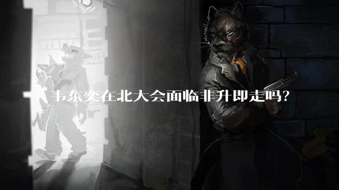 韦东奕在北大会面临非升即走吗?