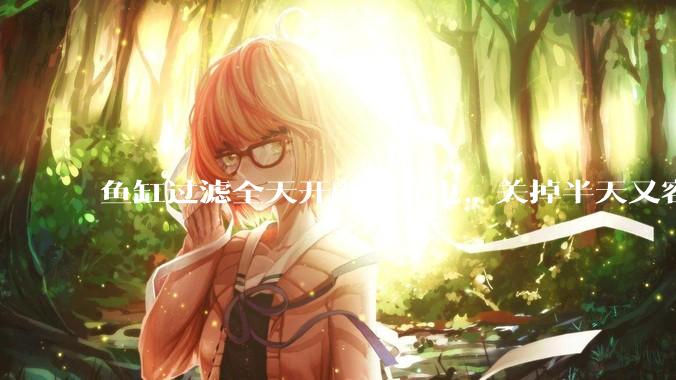 鱼缸过滤全天开着太耗电,关掉半天又容易水浑,有什么好办法?
