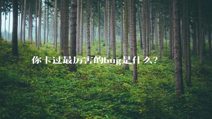 你卡过最厉害的bug是什么?
