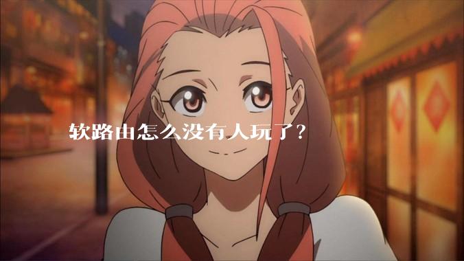 软路由怎么没有人玩了?