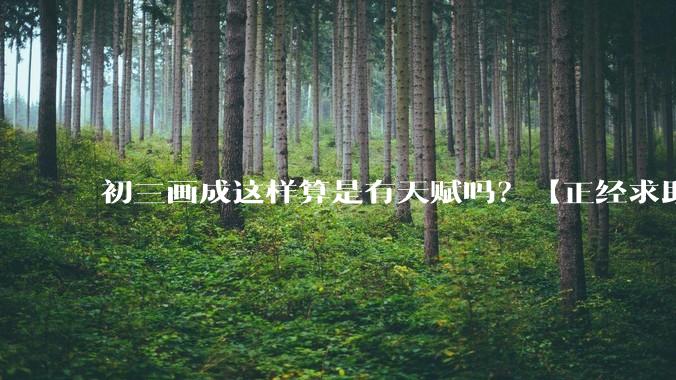 初三画成这样算是有天赋吗?【正经求助】?