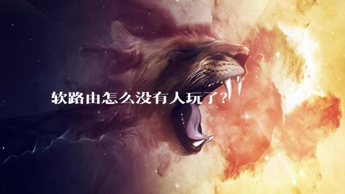 软路由怎么没有人玩了?