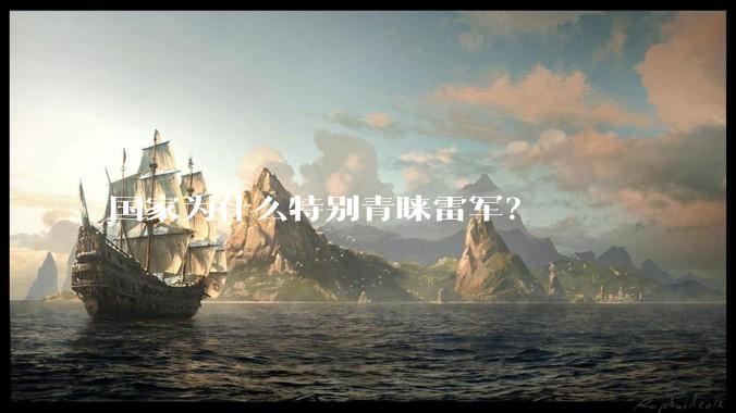 国家为什么特别青睐雷军?