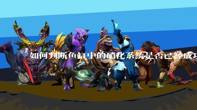 如何判断鱼缸中的硝化系统是否已经成功建立?