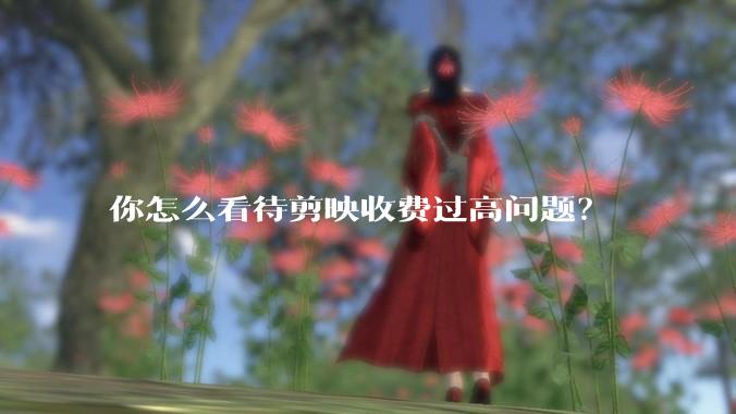 你怎么看待剪映收费过高问题?