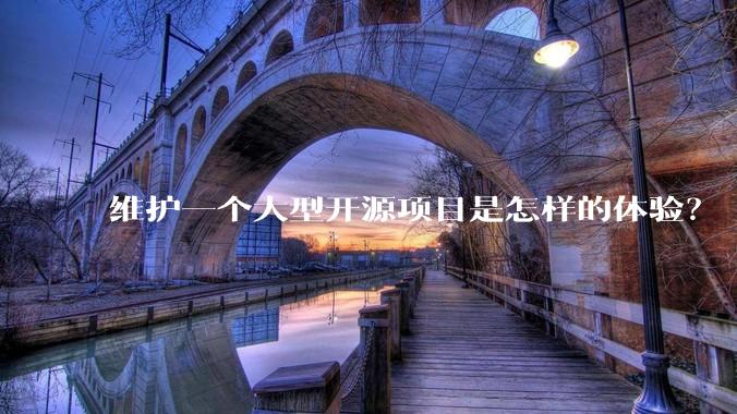 维护一个大型开源项目是怎样的体验?