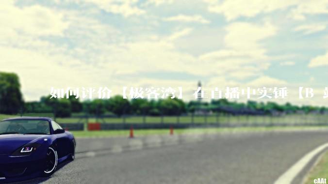 如何评价【极客湾】在直播中实锤【B 站不交保护费就限流】?