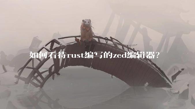 如何看待rust编写的zed编辑器?