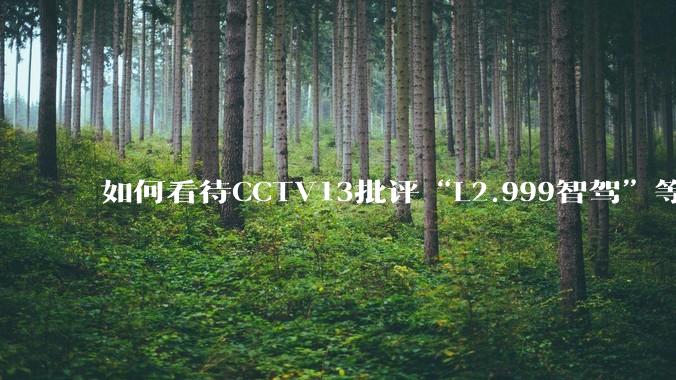 如何看待CCTV13批评“L2.999智驾”等误导性宣传,若导致事故车企可能需要担责?