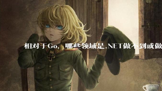 相对于Go,哪些领域是.NET做不到或做不好的?