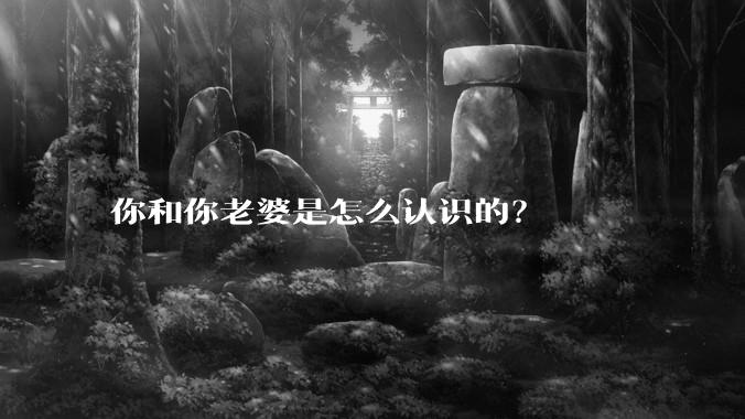 你和你老婆是怎么认识的?