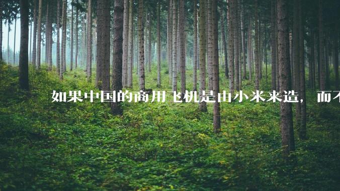 如果中国的商用飞机是由小米来造,而不是中国商飞,现在会是怎样的情况?