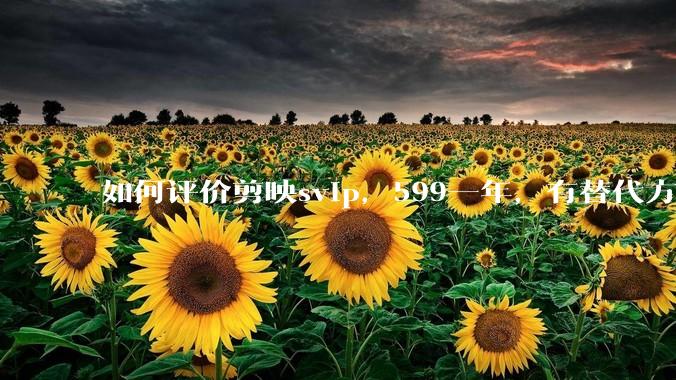 如何评价剪映svip,599一年,有替代方案吗?