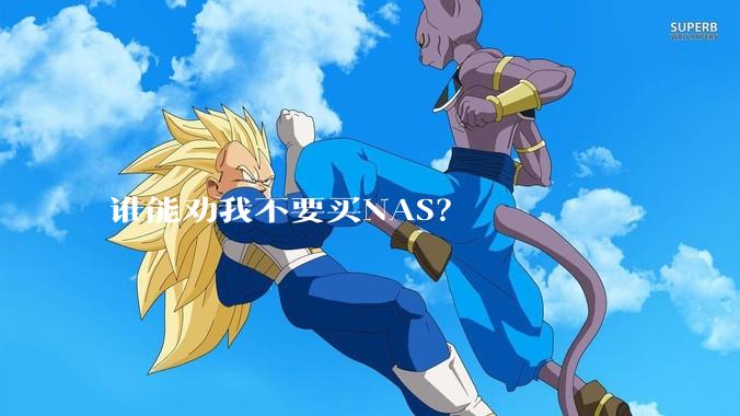 谁能劝我不要买NAS?