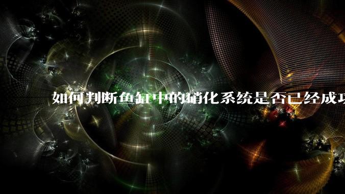如何判断鱼缸中的硝化系统是否已经成功建立?