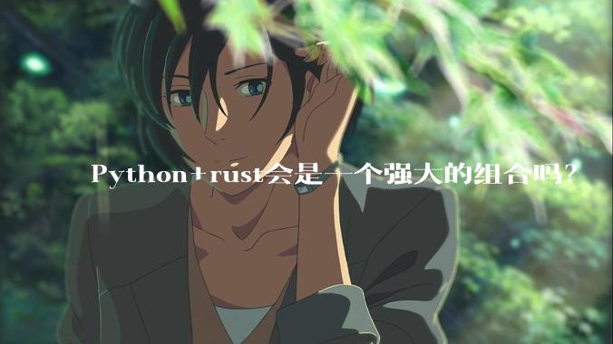 Python+rust会是一个强大的组合吗?