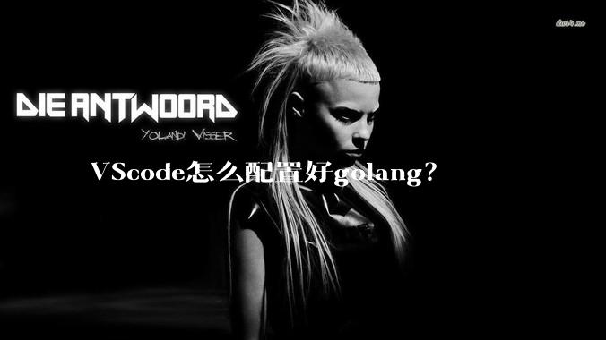 VScode怎么配置好golang?