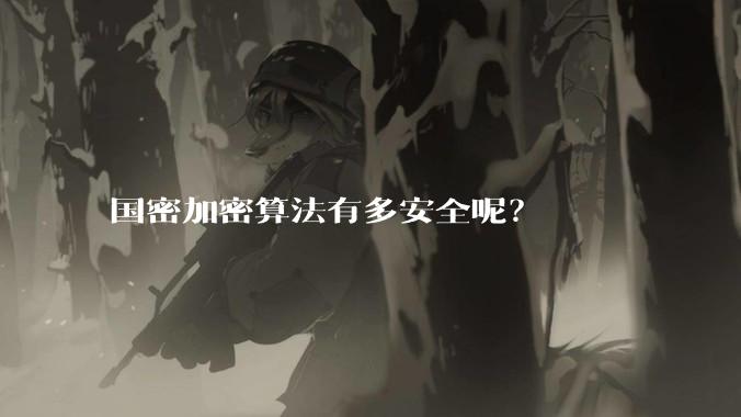 国密加密算法有多安全呢?