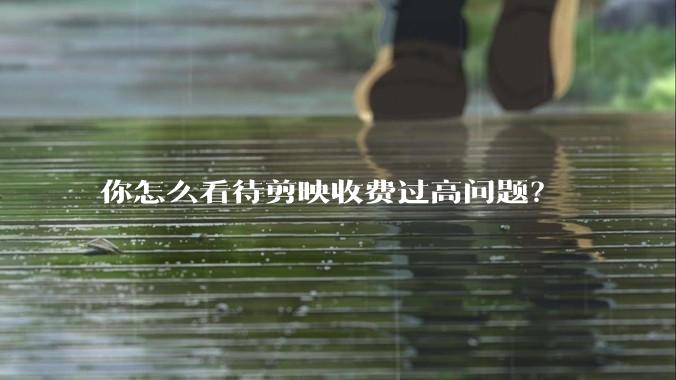 你怎么看待剪映收费过高问题?