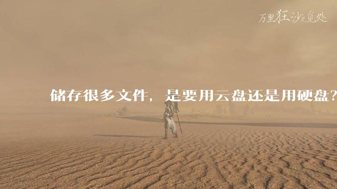 储存很多文件,是要用云盘还是用硬盘?