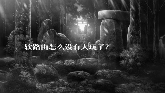 软路由怎么没有人玩了?