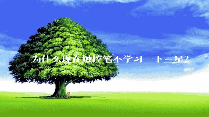 为什么现在触控笔不学习一下三星?