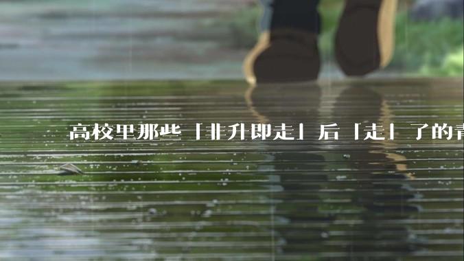 高校里那些「非升即走」后「走」了的青年教师都怎么样了?