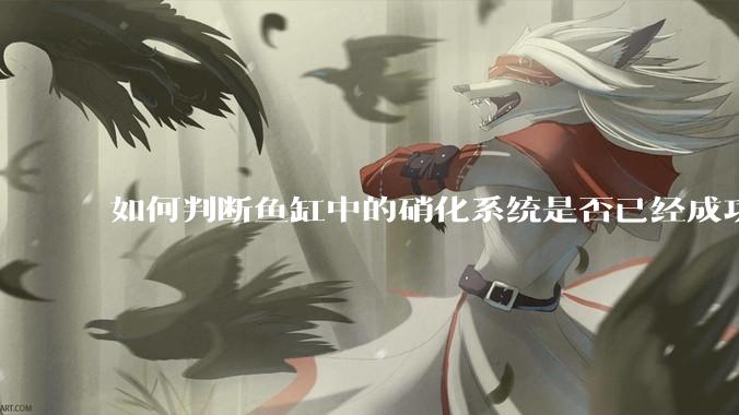 如何判断鱼缸中的硝化系统是否已经成功建立?
