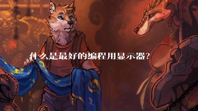 什么是最好的编程用显示器?