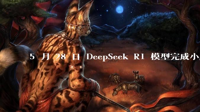 5 月 28 日 DeepSeek R1 模型完成小版本试升级并开源,具体有哪些提升?使用体验如何?