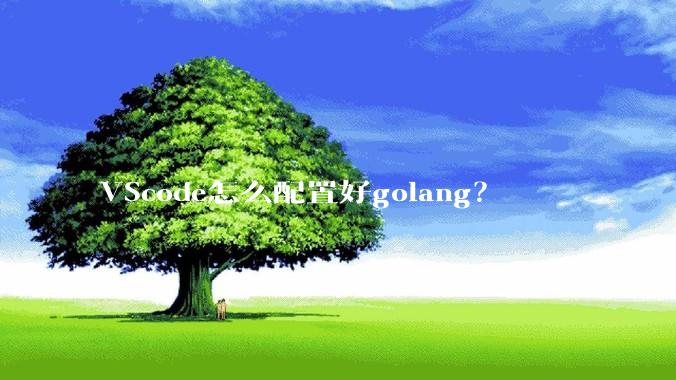VScode怎么配置好golang?