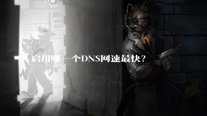 启用哪一个DNS网速最快?