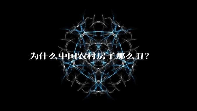 为什么中国农村房子那么丑?