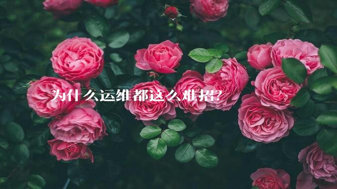 为什么运维都这么难招?
