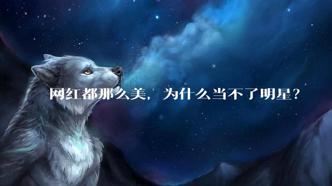 网红都那么美,为什么当不了明星?