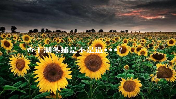查干湖冬捕是不是造***?