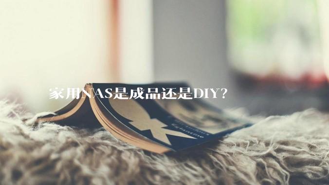 家用NAS是成品还是DIY?