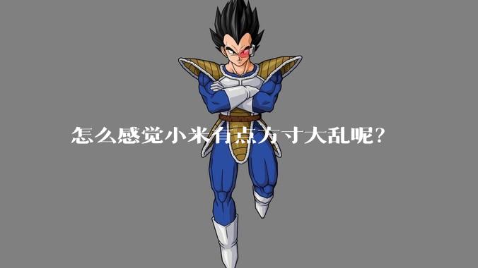 怎么感觉小米有点方寸大乱呢?