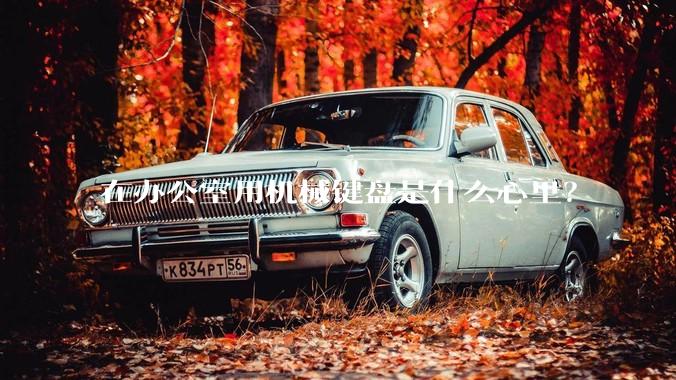 在办公室用机械键盘是什么心里?