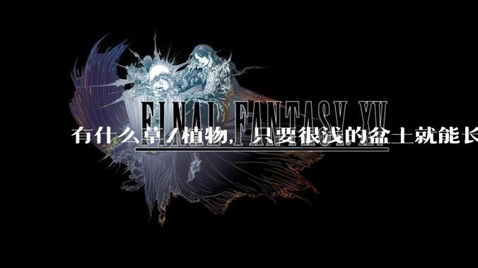 有什么草/植物,只要很浅的盆土就能长很高?