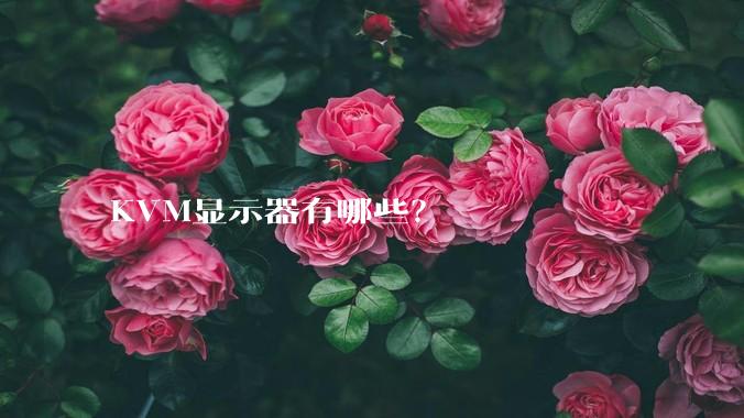 KVM显示器有哪些?