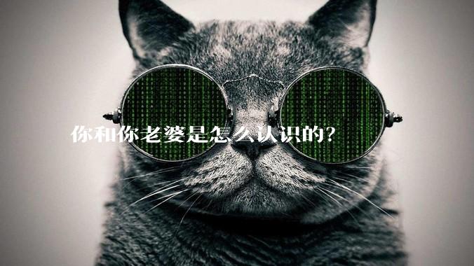 你和你老婆是怎么认识的?